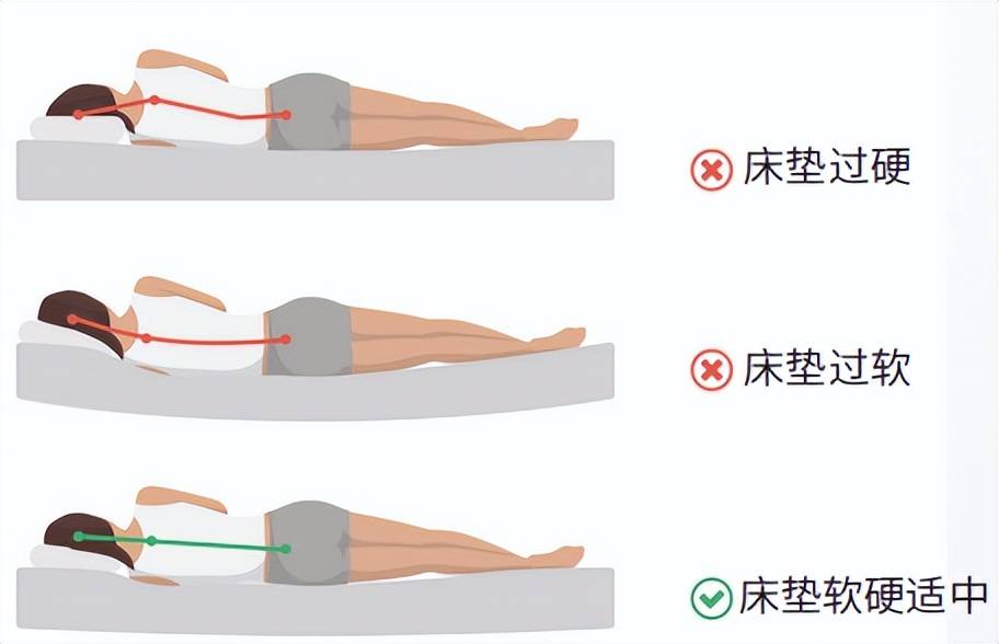 8小时睡眠论可能是错的？如何科学睡眠？（8小时睡眠论?这10个常识一定要知道）