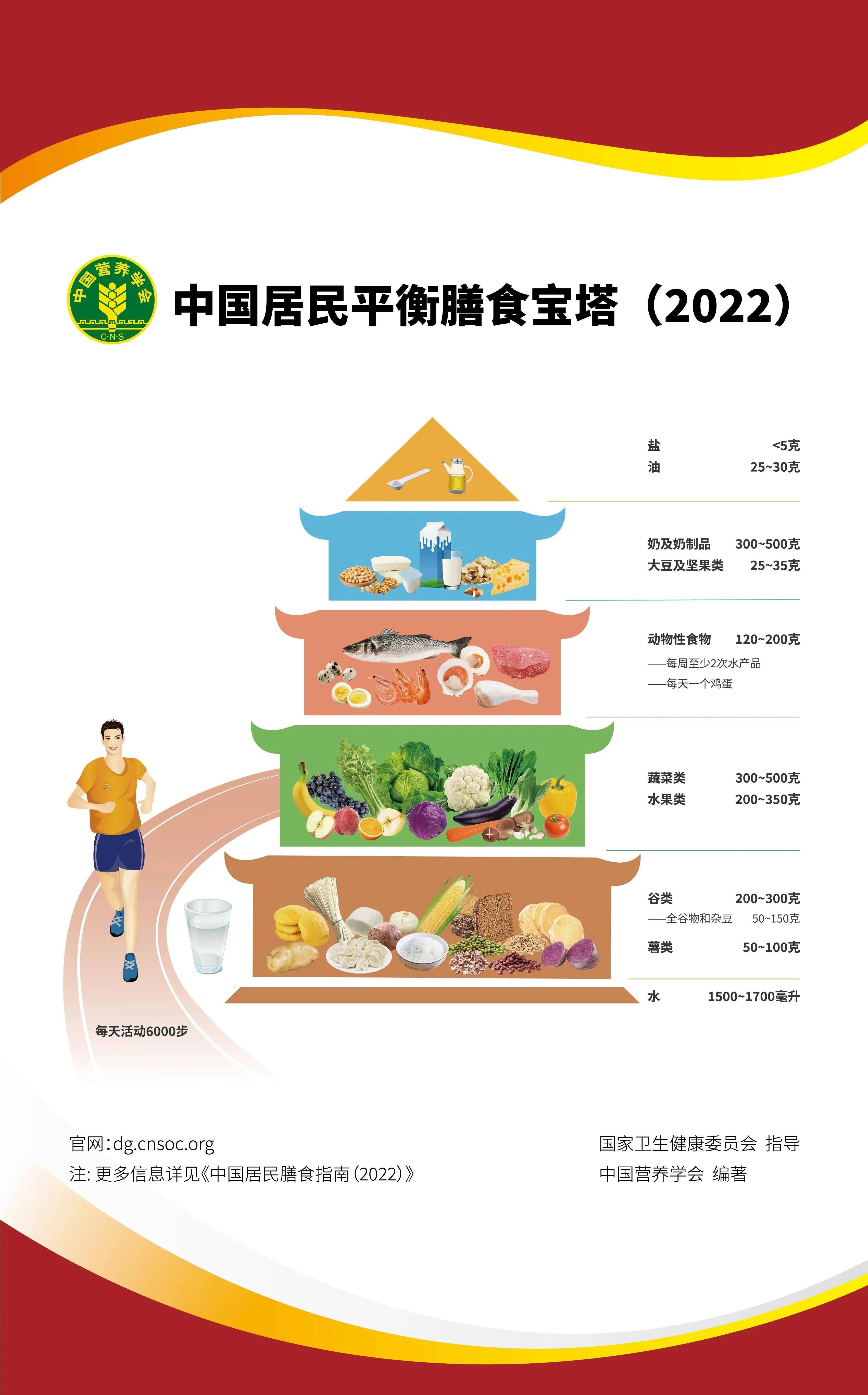 平衡膳食宝塔共分五层图片