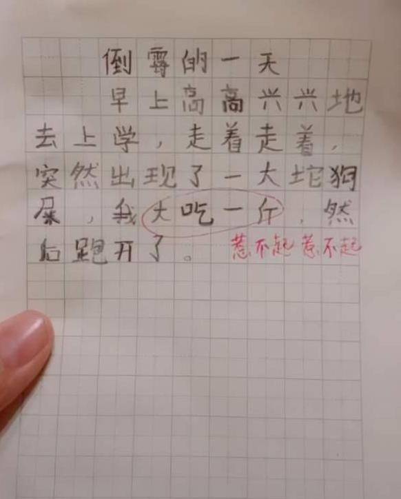 “真是个大孝子啊！”小学生“欠揍日记”走红、妈妈看后追着打