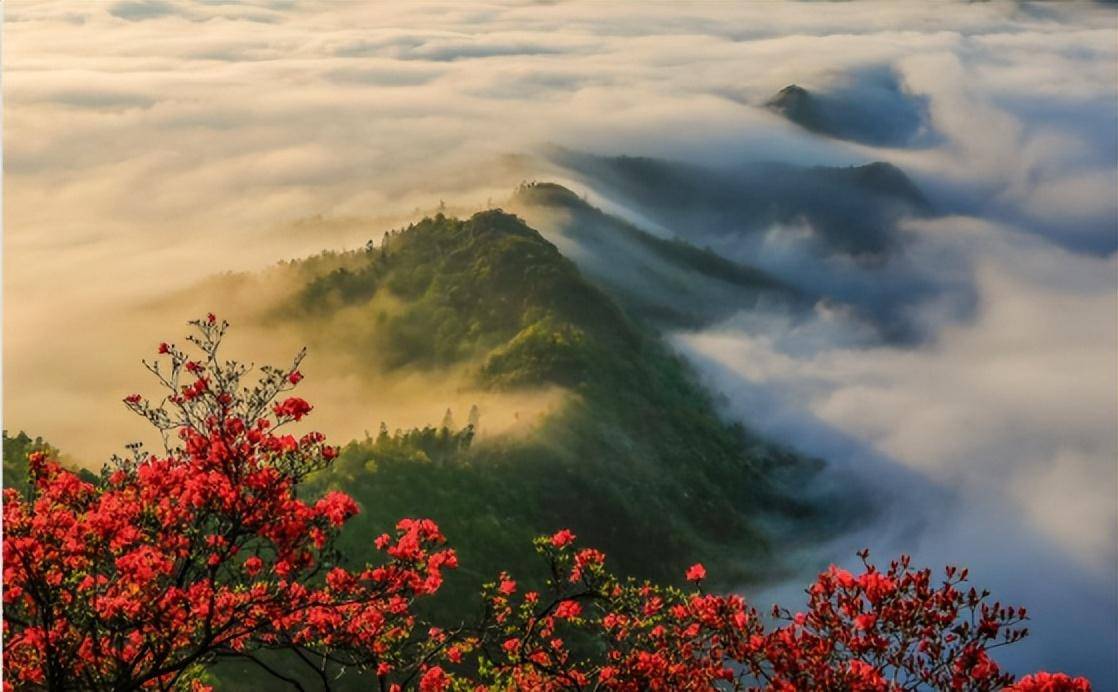 霍山花海旅游景点图片