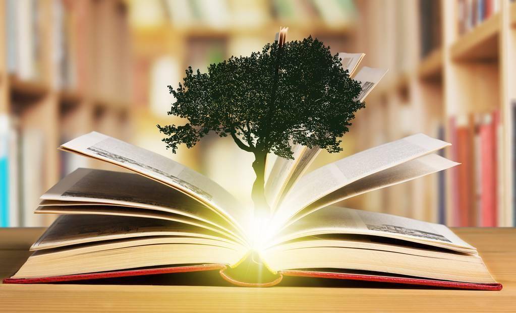 这些文化和传统认为某些符咒,草药,食品等可以治病,人们会依据这些