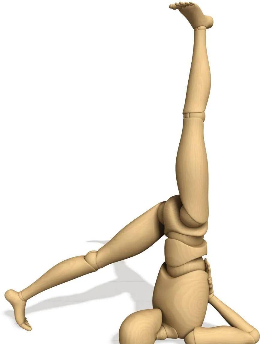 瑜伽解剖体式-单腿肩倒立式_动作_关节_背部