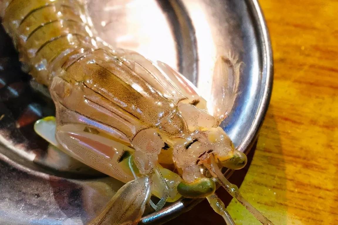 春天海货别样"鲜"——虾爬子,鹰爪虾
