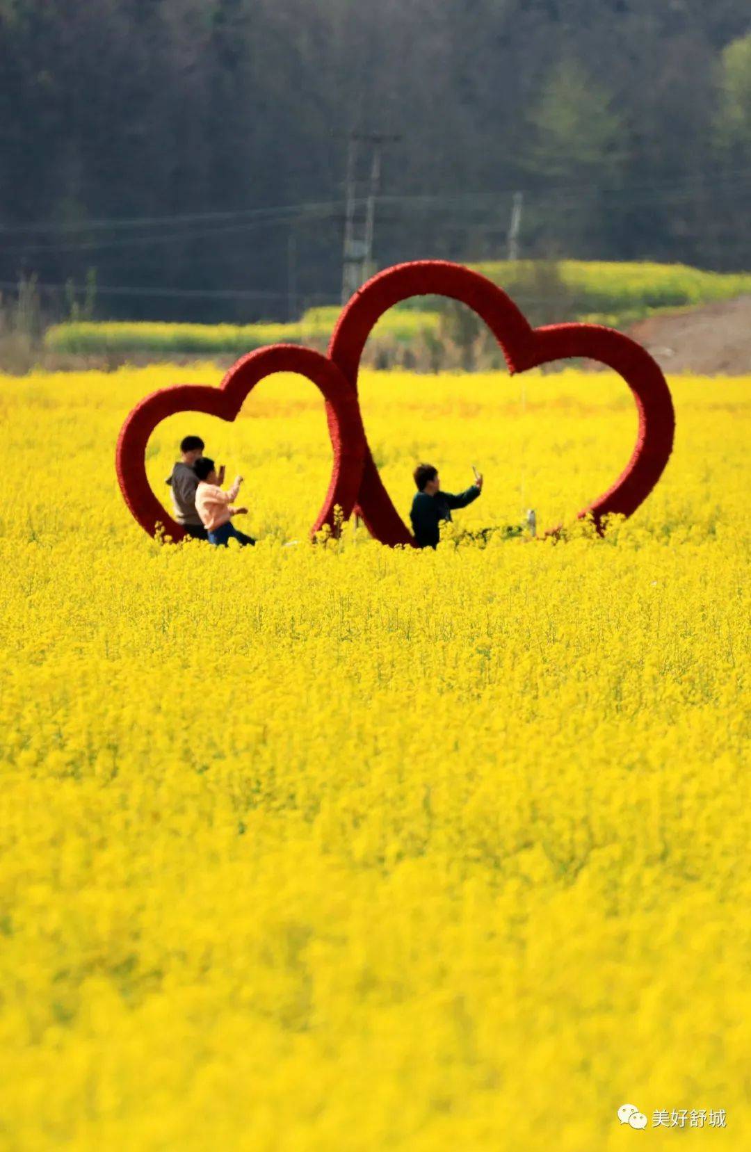 万亩油菜花已成为棠树乡又一新的名片!