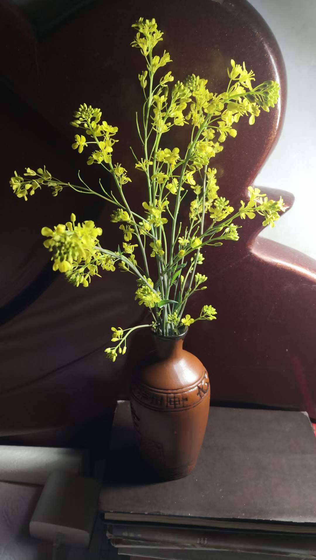 瓶里的一束油菜花_希冀_阳也_坠落