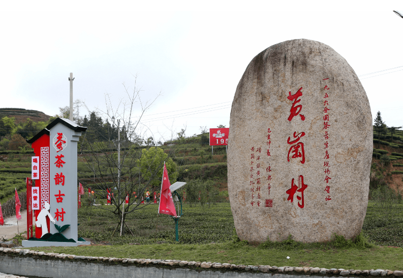 弘扬太姥精神 传承卜茶文化_黄岗村_茶叶_磻溪镇