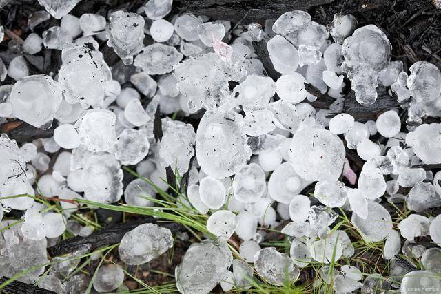 貴州遵義遇暴雨冰雹,街上冰雹流成河,極端天氣讓人畏懼_大風_影響