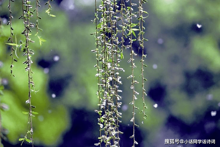 没想到（忐忑不安造句）忐忑不安造句子 第5张