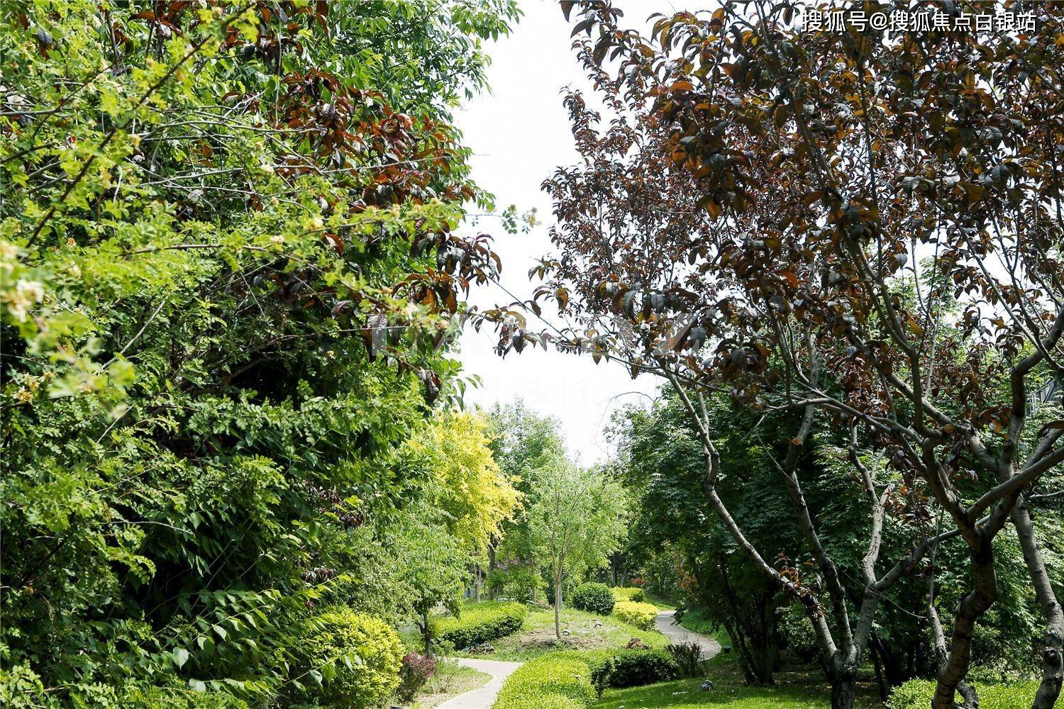 昌平「温哥华森林」售楼处电话4000101266转6666温哥华森林售楼中心丨