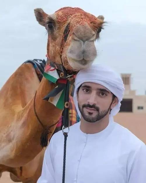 male 阿联酋 迪拜 谢赫·哈曼丹(sheikh hamdan)_ali_阿里_穆罕默德