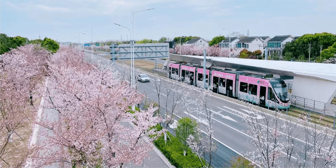 春日限定樱花列车上线!快来苏州科技城打卡_大道_网络_实景图