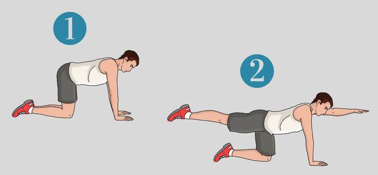 6个腰背核心肌群锻炼和伸展动作图解_肌肉_臀部_运动