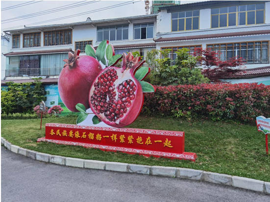 共育"石榴籽",绽放"团结花"—七星关区民族团结进步示范创建进校园