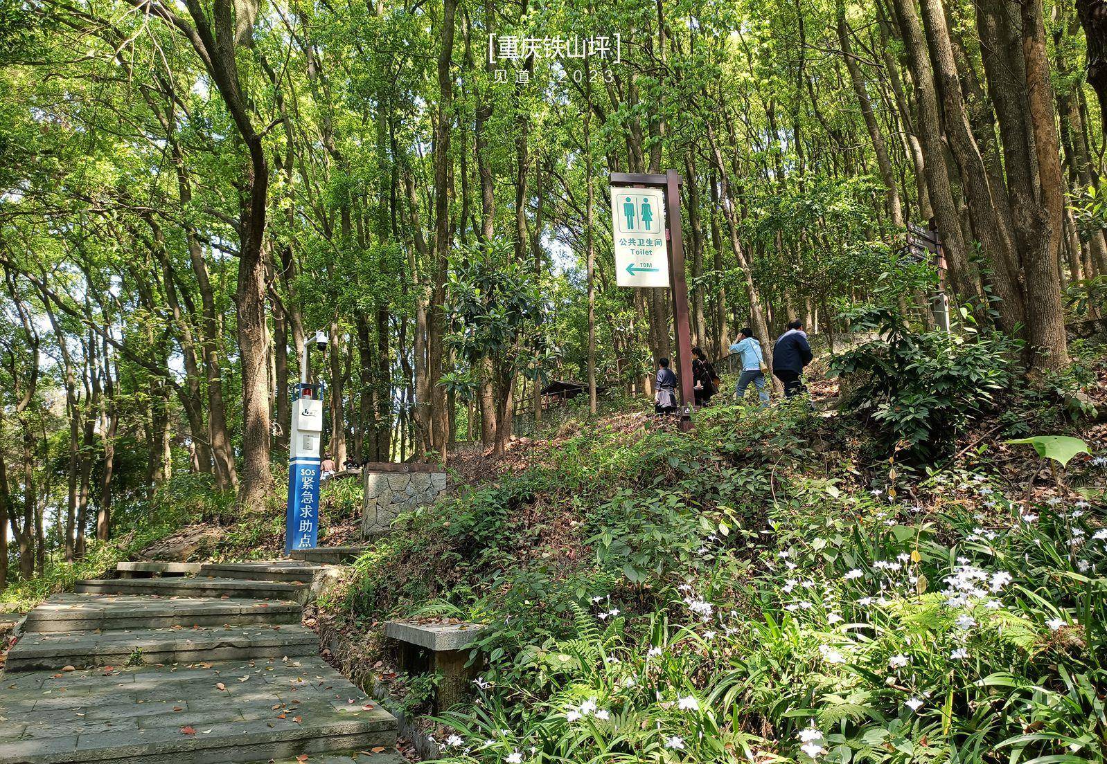 铁山坪登山步道图片