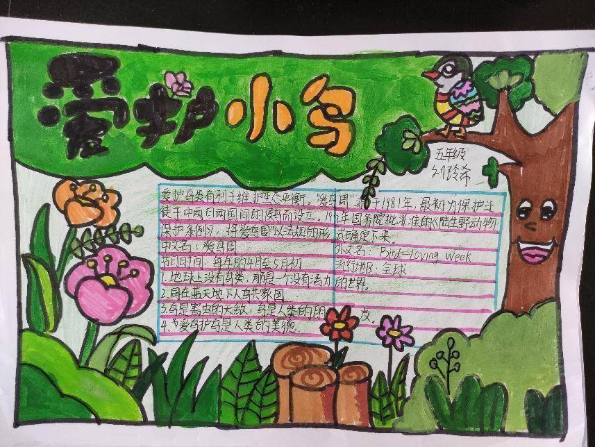 以国旗下讲话,班会活动,画一幅爱鸟护鸟手抄报等为载体,宣传了鸟类在