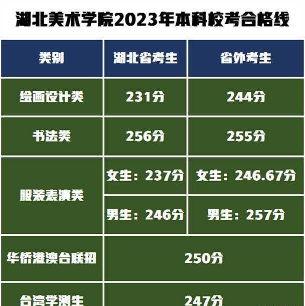 湖北美术学院发布2023年本科校考合格线!