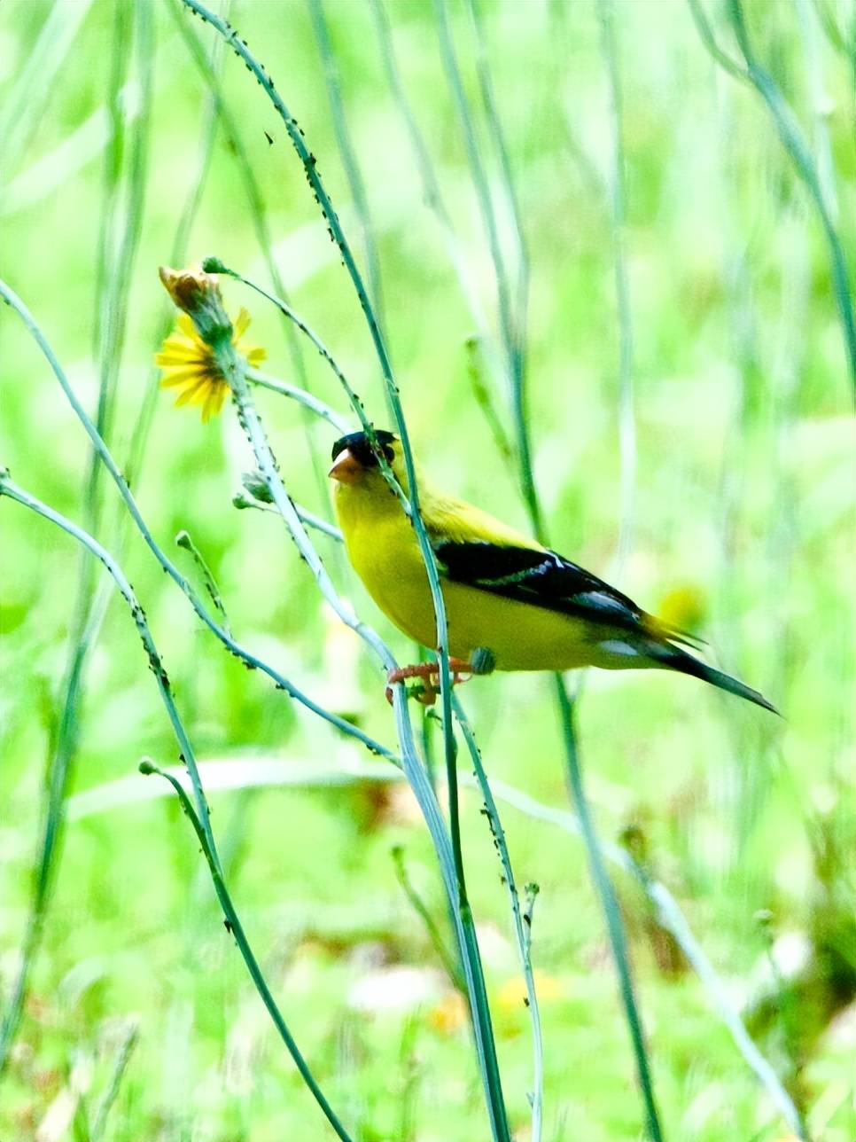 无知关塞月,偏照别离人.往事随流水,新愁寄暮春.