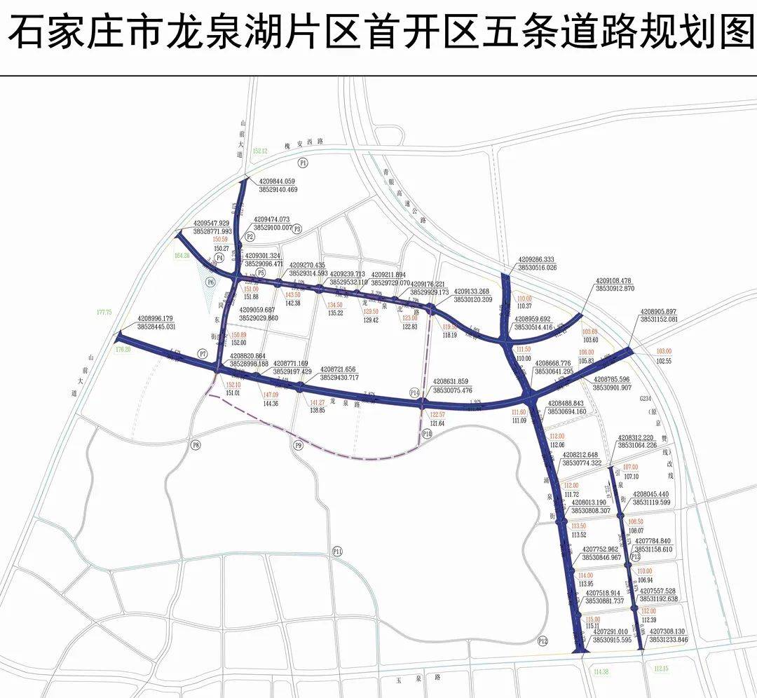 龙泉湖片区部分规划曝光:主导功能为居住,新建5条道路!