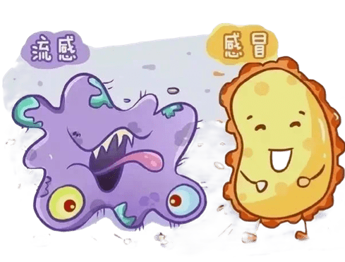 陈皮养生：甲流来袭，巧用陈皮，让健康更有保障！（甲壳功效）