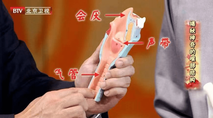 会厌是喉部声门上方的一块软骨,位于下气道的入口处,需要借助喉镜才能
