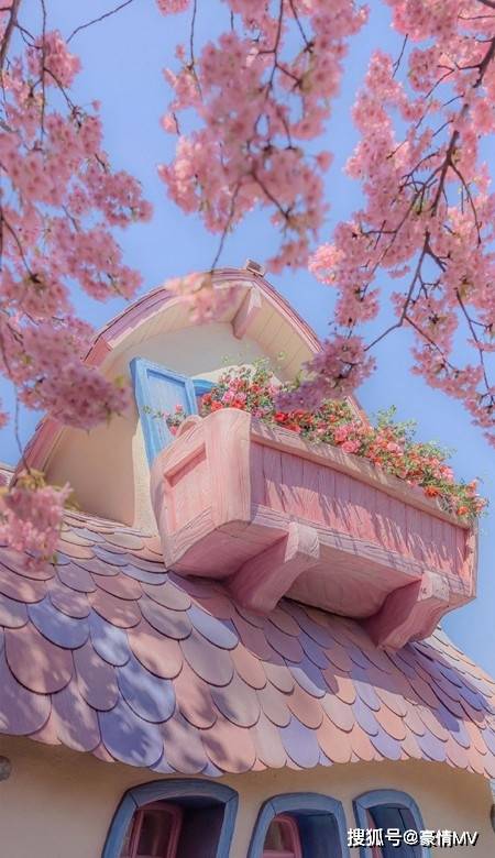 浪漫樱花高清手机壁纸合集_2023浪漫粉色樱花锁屏壁纸高清