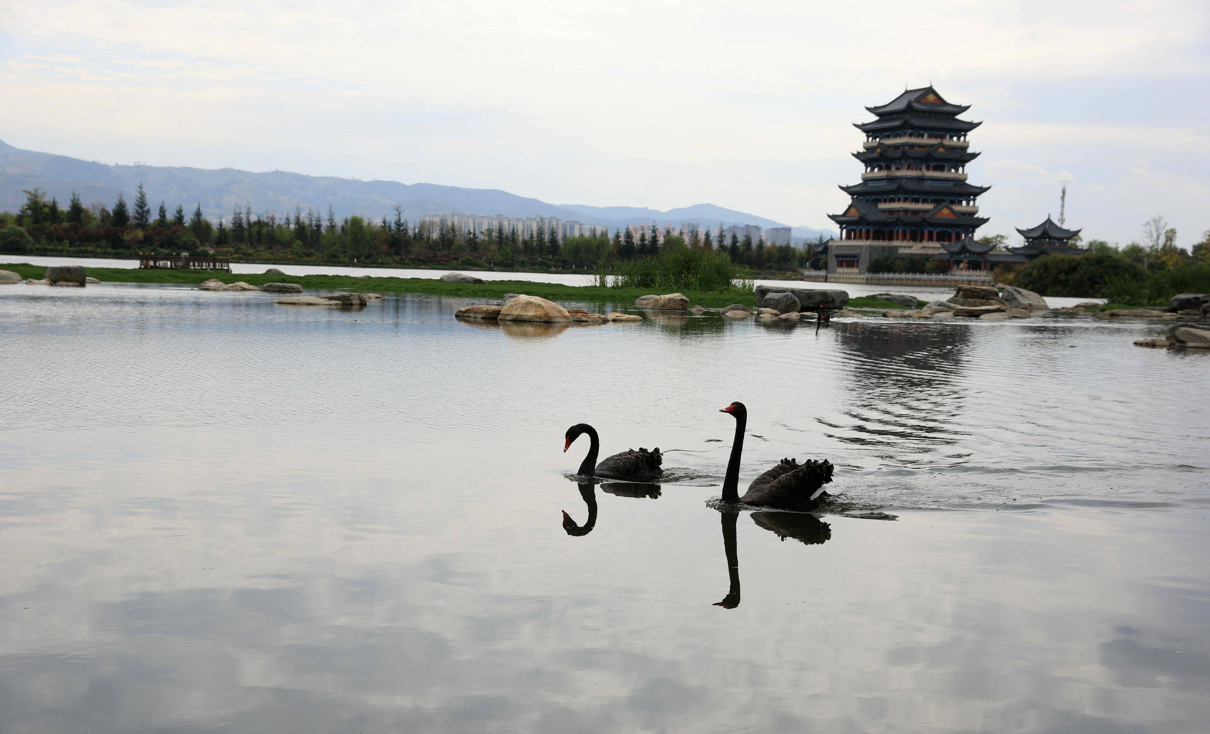 保山青华湖公园 面积图片