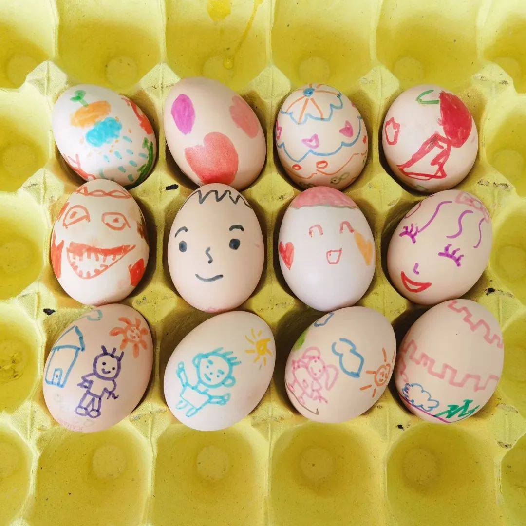 "竖鸡蛋"的奇妙之旅