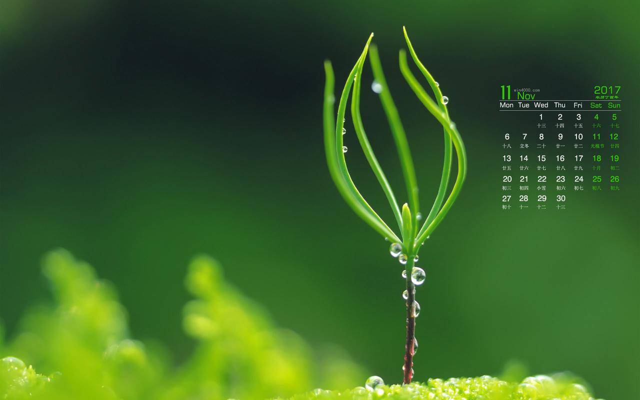 家长请看,护眼常见的七大误区!你中招了吗?_眼睛_度数_视力