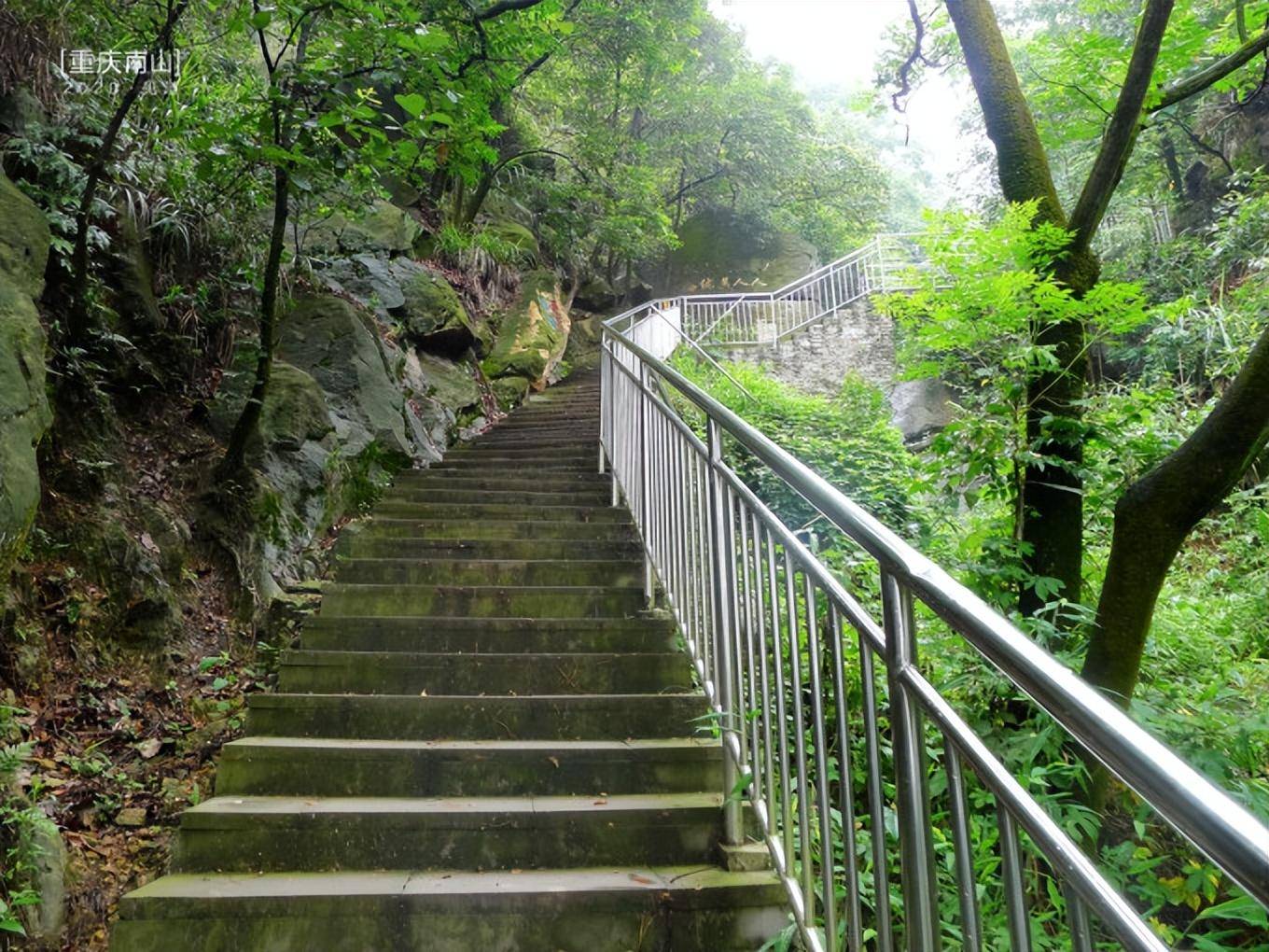 重庆南山入门登山攻略|上新街·杨家山步道_by_黄桷_前驱