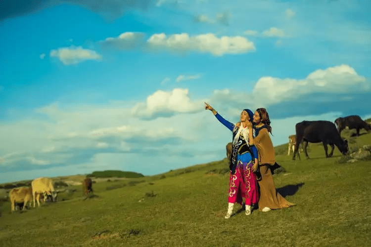 李娟《羊道·深山夏牧场》| 生命总会自己寻找出路_卡西_妈妈_生活