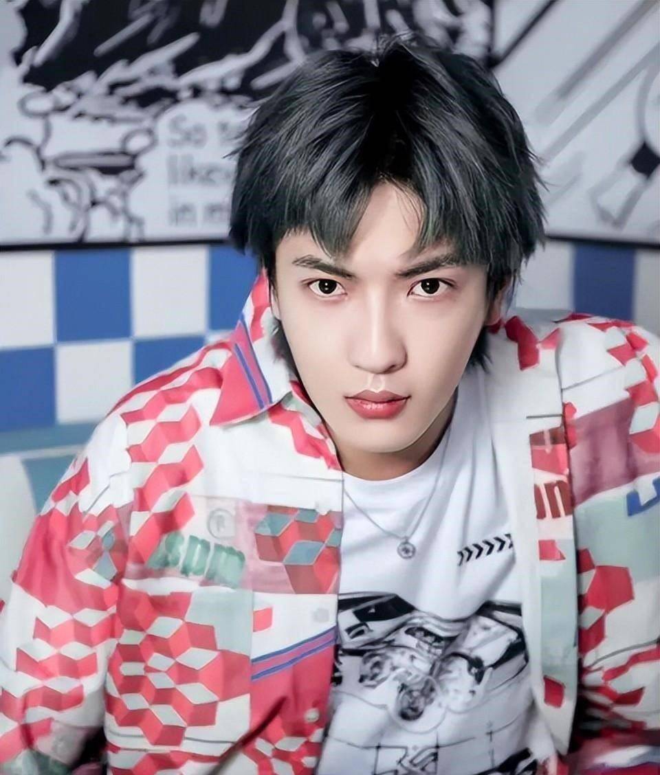 精致的五官1米88的大个曾和蔡徐坤一队董岩磊作为偶像练习生偶像爱豆