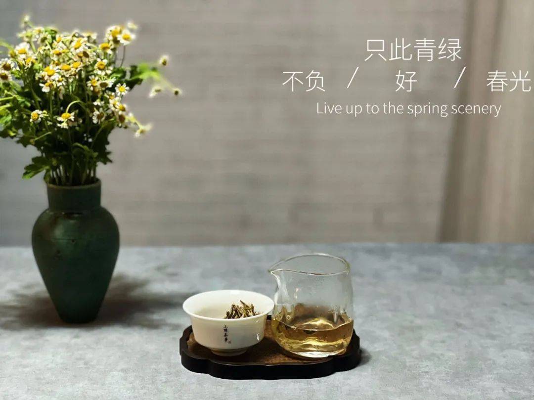 寿眉是什么茶（收藏白茶，为何老茶客更喜欢寿眉）