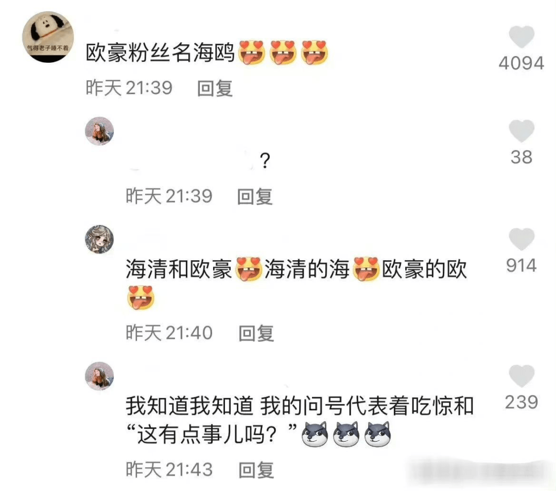 一个是"海清的小跟班",一个是"欧豪的小跟班",同时欧豪的粉丝名为"