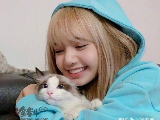 王一博喜欢lisa吗 同为顶流的两人未来有没有可能在一起_人气_感情