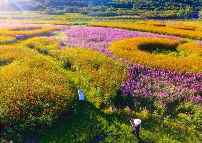 產品項目引進了河北五海農業開發有限公司,進行開發五海獼猴桃莊園,已