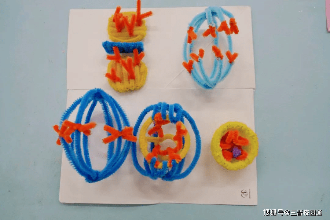 山大附中晋中学校高中部举办细胞分裂模型制作比赛_生物_学科_高一