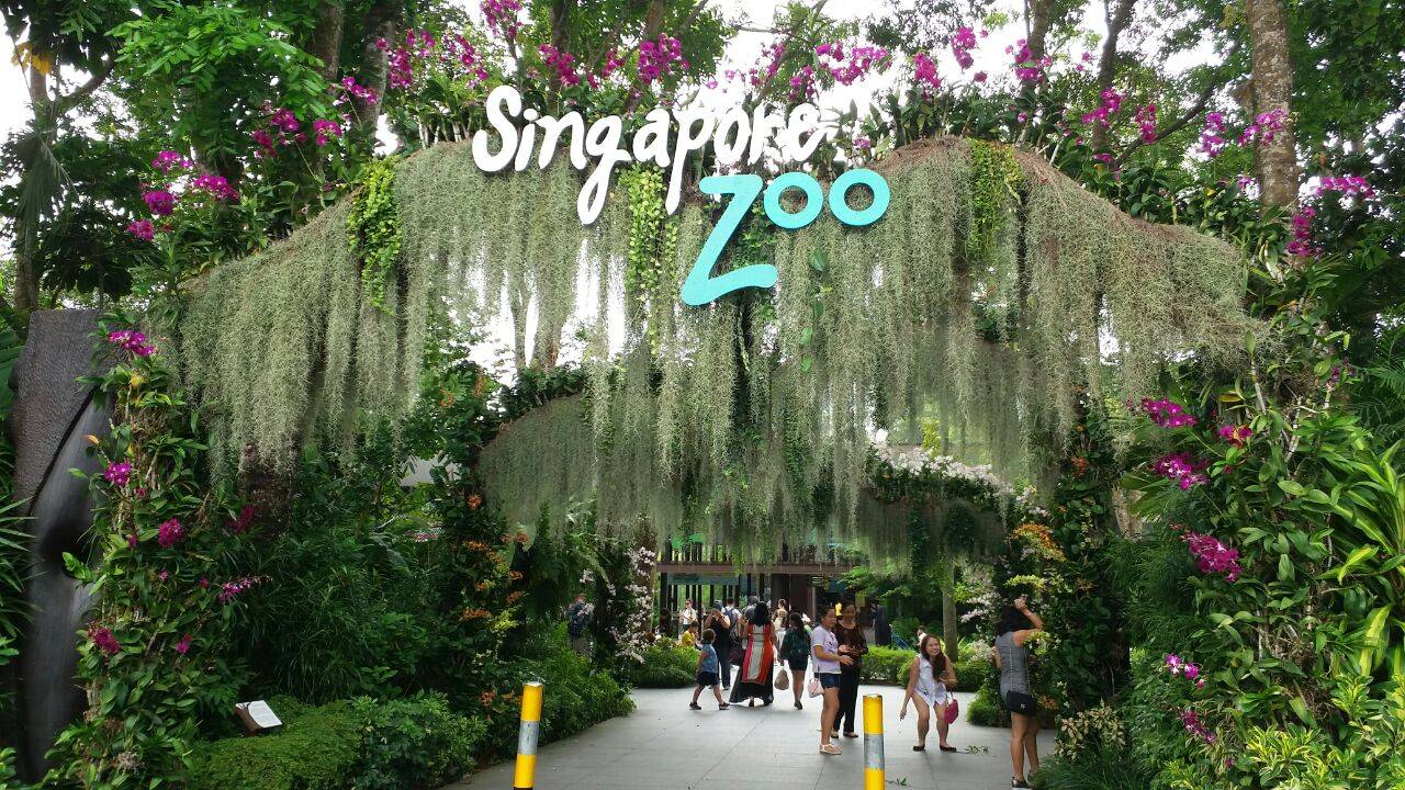 下午可以前往新加坡植物园,欣赏园内的各种花卉和植物.