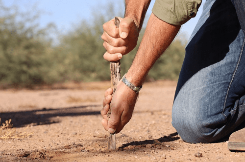 艺术家alex harper:沙漠也需要保护_活动_仙人掌_环保