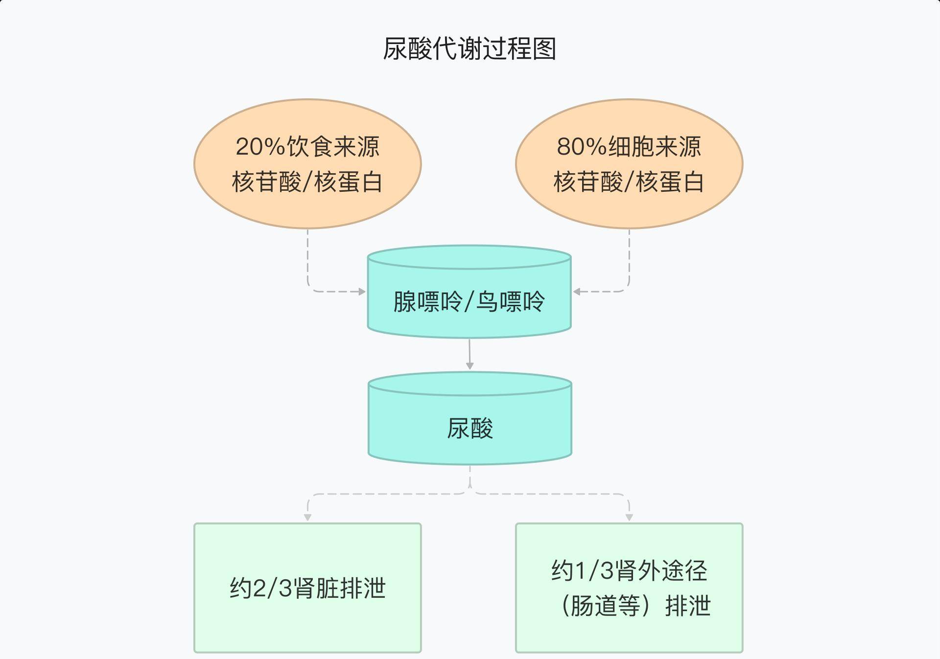 痛风别只盯着高嘌呤食物了,这3点也会偷偷升高你的尿酸