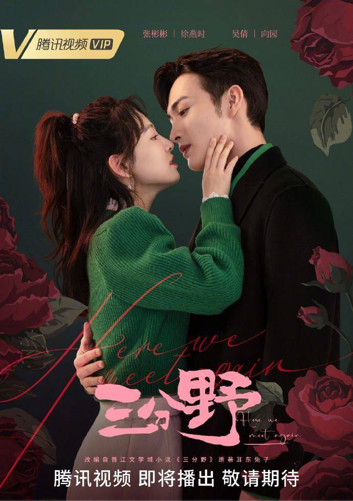 4.20剧:秦昊 陈晓 迪丽热巴 陈星旭 刘学义 刘诗诗 赵丽颖 杨紫 成毅 