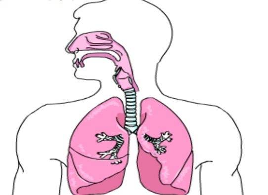 生活_吸毒者_精神