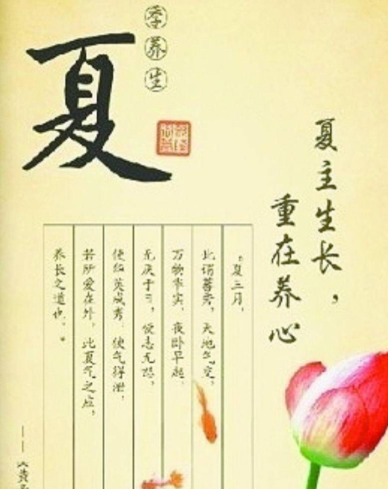 夏季养生~夏养心_运动_肠胃_红小豆