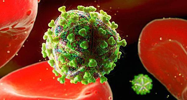 伊波拉病毒1图片
