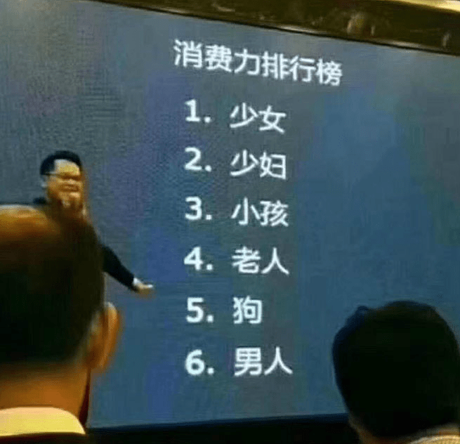 树图片（橡皮树图片大全大图） 第7张