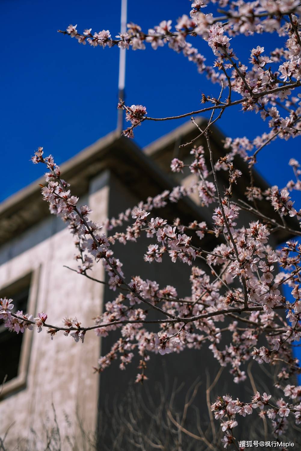 北京千灵山景区绝对不算个出名的山,不过这次机缘巧合,买了门票进来