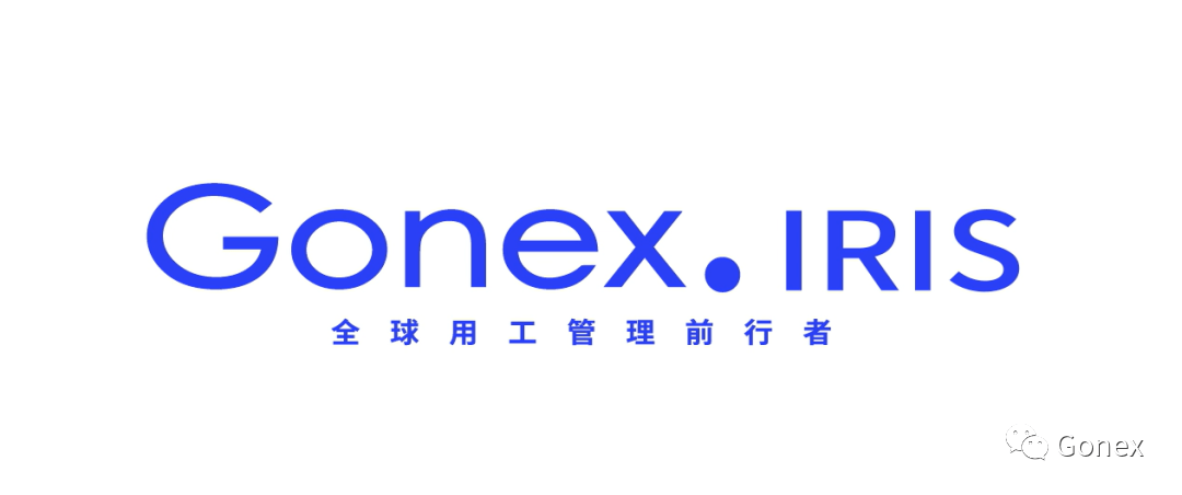 全球首款chatgpt行業應用 gonex-iris 助力跨國企業hr全球佈局_問題