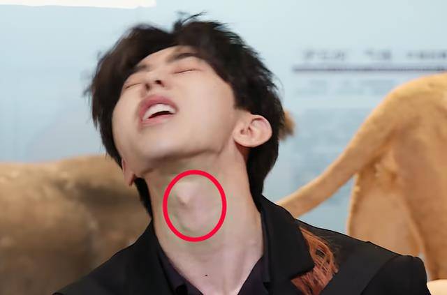 蔡徐坤模仿狮子吼,当镜头移到他的脖子,宋雨琦看得移不开眼_嘉宾_喉结