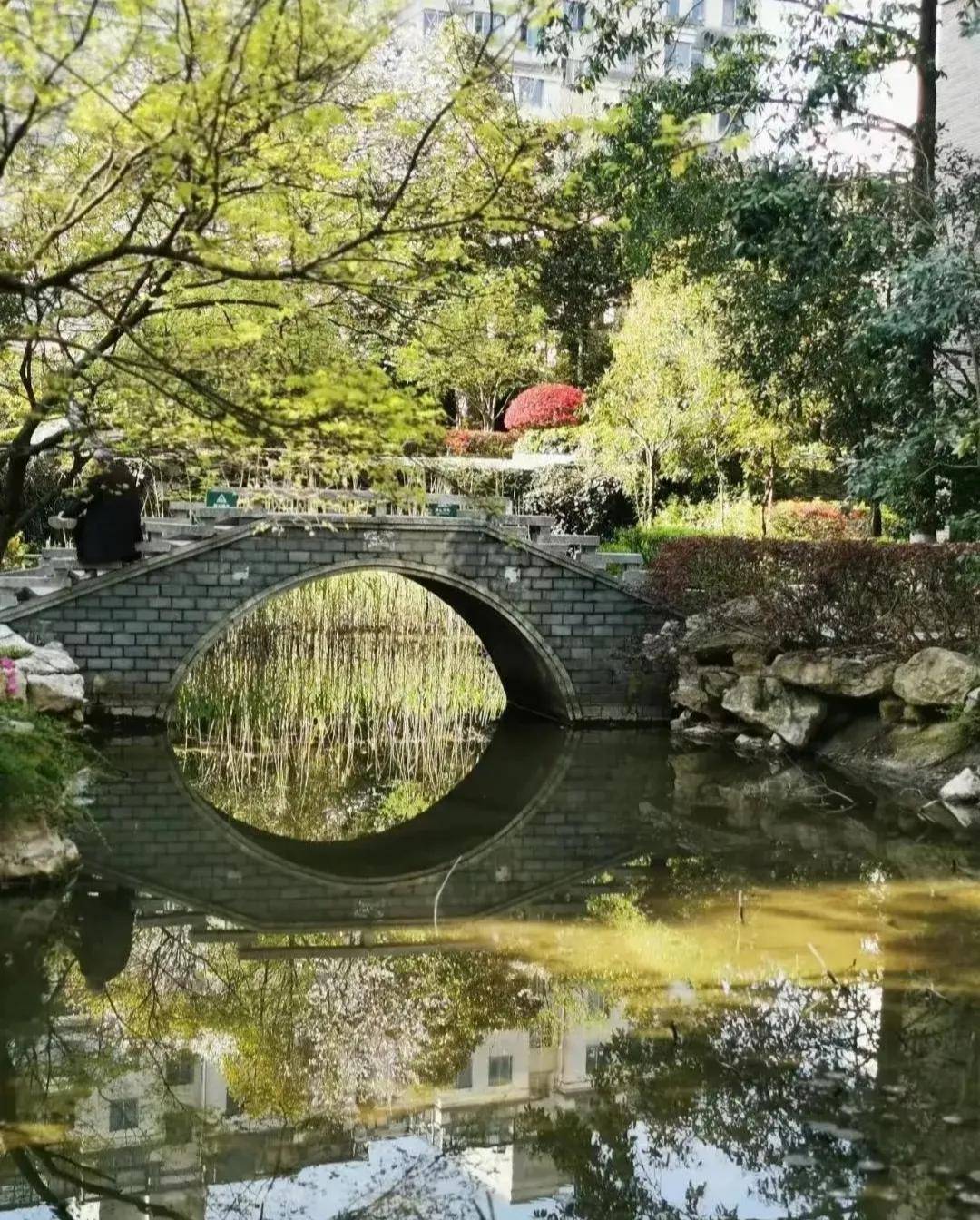 储能学校丽园校区落地,城西雅戈尔西湖花园迎来最灿烂春天_海曙区