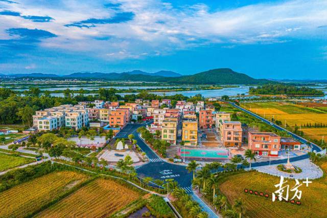 阳江阳西县打造"粤海粮仓 蓝色能源"新样板 |县委书记打擂台·第二季