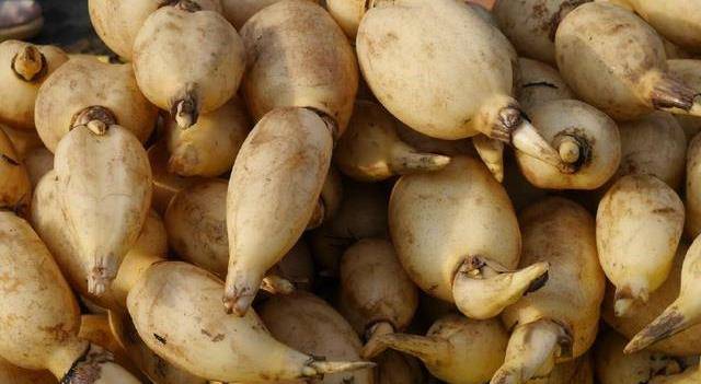 5种常见蔬菜的别名,最后1个很多人根本就不知道!你知道几个?